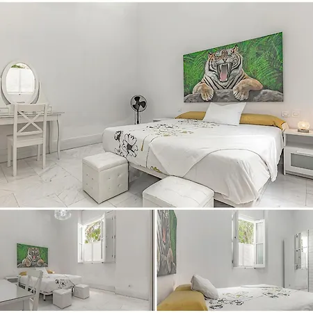 아파트 Tenerifeopenhome Historic Center 산타크루스데 테네리페