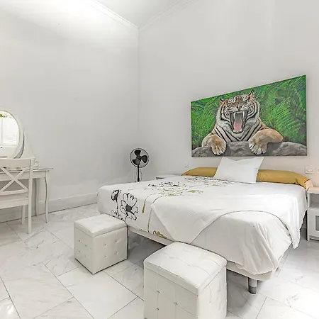 Tenerifeopenhome Historic Center 아파트 산타크루스데 테네리페
