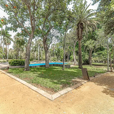 Tenerifeopenhome Historic Center