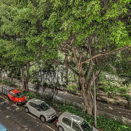 아파트 Tenerifeopenhome Historic Center *